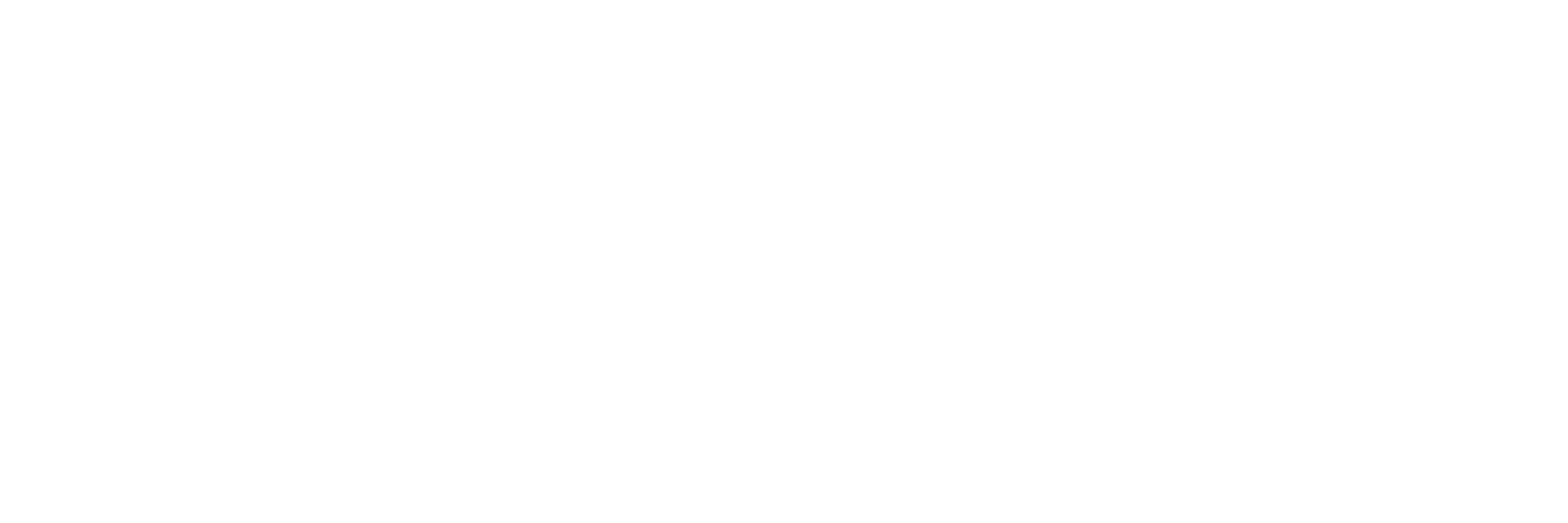 Daniela Moreno Photography