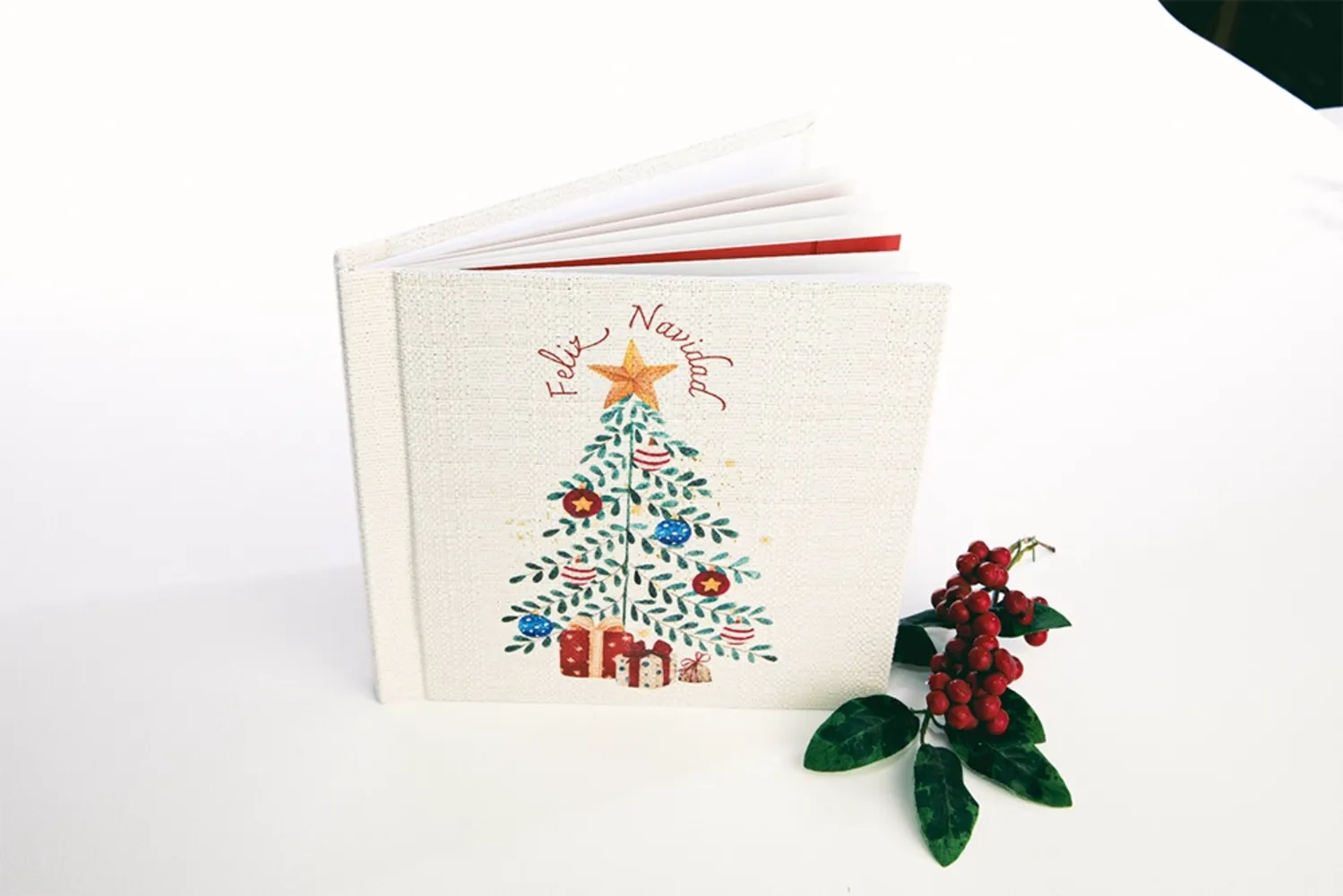 Álbum fotográfico 20x20