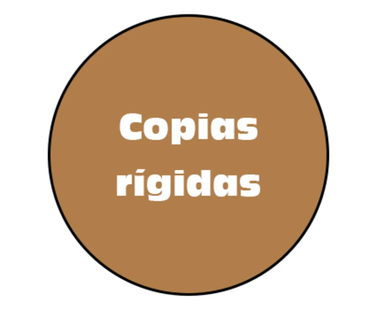 COPIAS RÍGIDAS