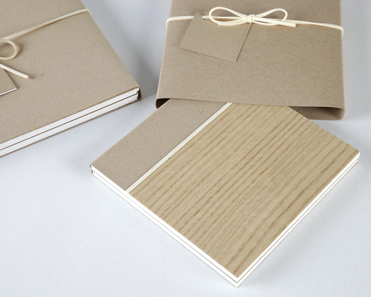 Dípticos Trípticos Cuadrípticos PP (Sin foto)