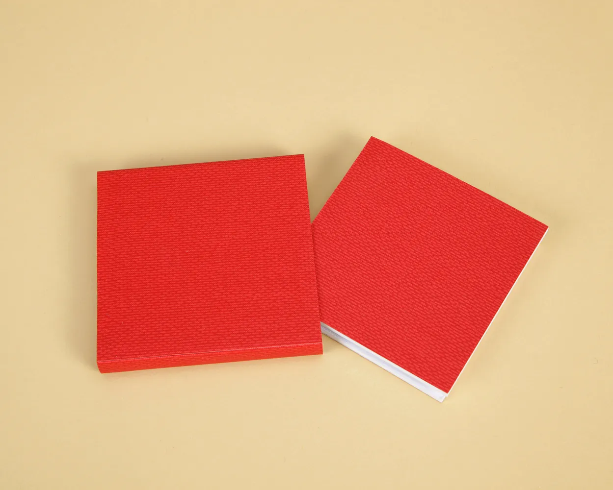 Christmas Mini Acordeón