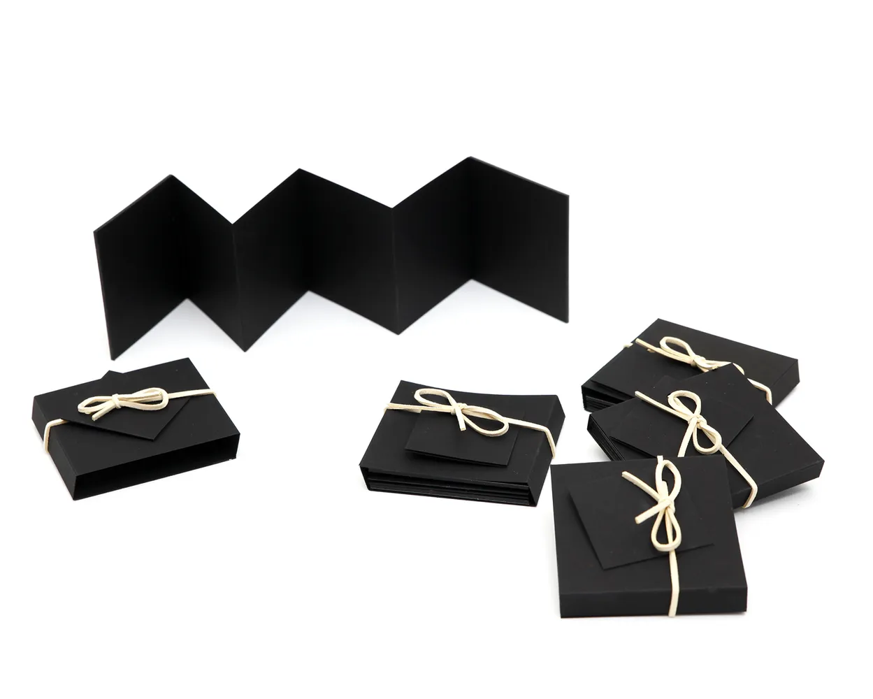 Acordeón de Fotos (Analógico) Sin Foto